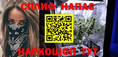 ECSTASY Новозыбков