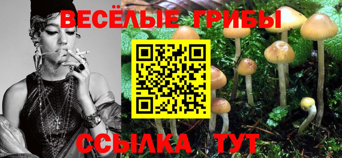 Галлюциногенные грибы MAGIC MUSHROOMS  Вход с VPN  Воткинск 